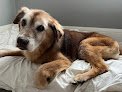 Negocio Grand Paws