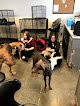 Negocio Groom Room