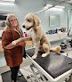 Negocio Groomingdales Dog Salon Boutique And Hotel
