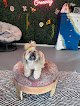 Negocio Groovy Grooming