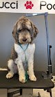 Negocio Gucci Pooch