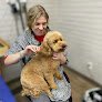 Negocio Hair Of The Dog Grooming