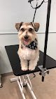 Negocio Hairy Situations Dog Spa, Boarding-grooming-selfwash