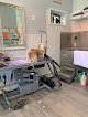 Negocio Happy Paw Studio. Dog Grooming