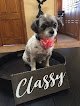 Negocio Happy Tails Pet Salon