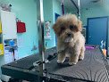 Negocio Happyfeet Dog Grooming