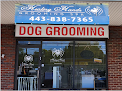 Negocio Healing Hands Dog Grooming