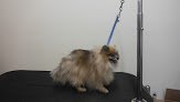 Negocio Heaven Sent Pet Grooming Llc