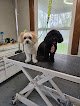 Negocio Heavenly Pups Spa