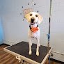 Negocio High 10 Pet Spa
