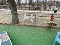 Negocio Hillrise Kennels
