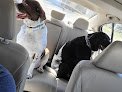 Negocio Hollywood Hounds