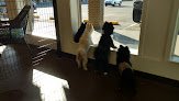 Negocio Hollywoof Doggy Day Care And Grooming Llc