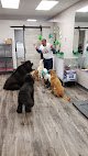 Negocio Hot Diggity Dog Grooming