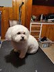 Negocio Howliday Pet Services & Grooming