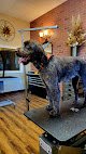 Negocio Hub City Grooming