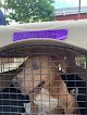 Negocio Humane Society Of St. Thomas