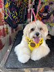 Negocio Idesigndogs Llc