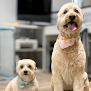 Negocio Instyle Pet Grooming