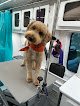 Negocio It’s A Dog’s World Mobile Grooming