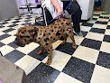 Negocio J & J Pet Grooming