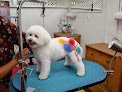 Negocio Jan's Grooming & School Llc