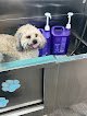 Negocio Just Tiny Paws Dog Grooming