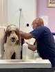 Negocio K-9 Wash-n-go