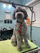 Negocio K9 Design Grooming Salon