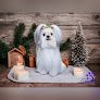Negocio Kala's Pet Grooming & More