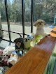 Negocio Kane Family Pet Grooming