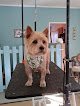 Negocio Kendra's Grooming
