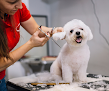 Negocio Kibbles & Cuts