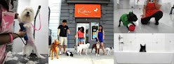 Negocio Kiki's Pet Spa & Boutique