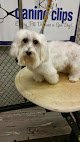 Negocio Kitty's Canine Clips