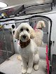 Negocio Kontota Of Ne Alabama - Mobile Dog Grooming
