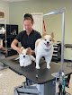 Negocio Lacy's Struttin' Mutts