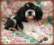 Negocio Laura's Dog Grooming