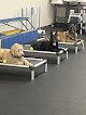 Negocio Legion K9 Mobile Dog Training Services Llc