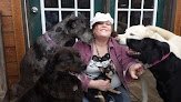 Negocio Licks & Loves Dog Services