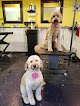 Negocio Lil' Grooming Shop
