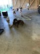 Negocio Lilah Belle Pet Spa, Boarding & Doggy Daycare