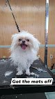 Negocio Lindsey's Pet Grooming