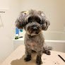 Negocio Lou-lou Pet Grooming Mobile In-home Services