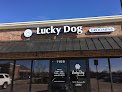 Negocio Lucky Dog Grooming
