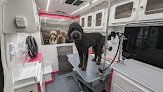 Negocio Lush Pups Mobile Spa