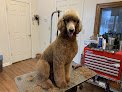 Negocio Lynn's Pretty Pooch