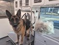 Negocio Mama's Mobile Grooming