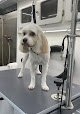 Negocio Maryland Elite Dog Spa, Llc