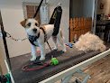 Negocio Masterpiece Canine Spa